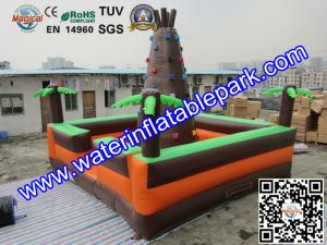 Wholesale Giant  Inflatable Sport Games , Inflatable Climbing Wall 6M x 6M from china suppliers