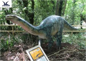Wholesale CE , RoHS Coin Operated Giant Dinosaur Model Exhibition For Dinosaur Park Display from china suppliers