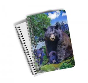 Wholesale A5 PET 3D Lenticular Notebook Customized Spiral Bound Notebook SGS Listed from china suppliers
