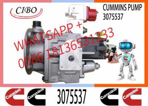 China Diesel Engine Spare Parts K38 K50 Fuel Pump 3075537 cummins kta38 cummins fuel pump 3075537 on sale