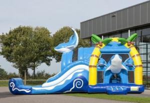 Wholesale 2 In 1 Dolphin Big Bouncy Castles Inflatable With Wacky Dual Slide For Amucement from china suppliers
