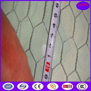 Wholesale Chicken Wire Mesh for Poultry or Agricultural Using from china suppliers
