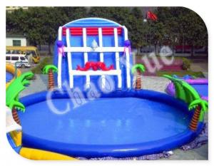 Giant Inflatable Water Slide, Inflatable Slides with Pool