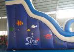 Double Lanes Inflatable dolphin Water Slides with pool EN14960 For Adults and