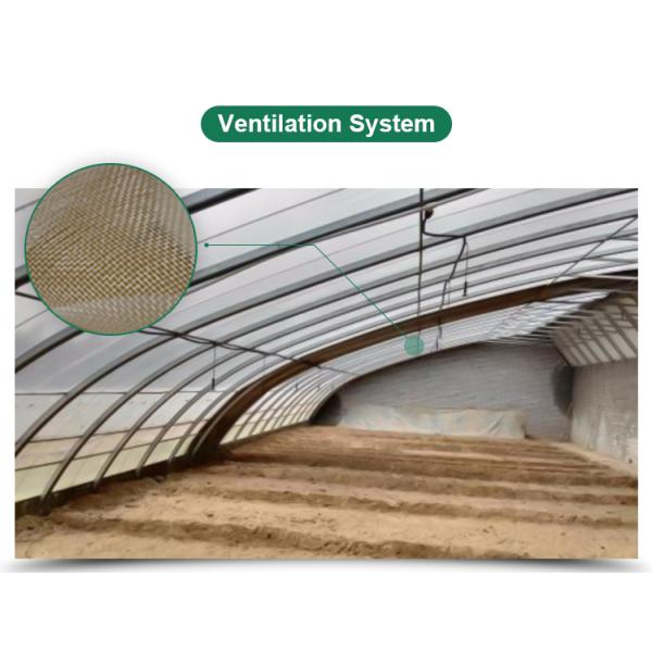 High Strength Solar Agricultural Greenhouses with Easy Assembly and Greenhouse Benches