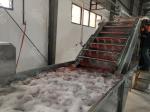 Multifunctional Tomato Processing Line With Turnkey Processing Adjustable