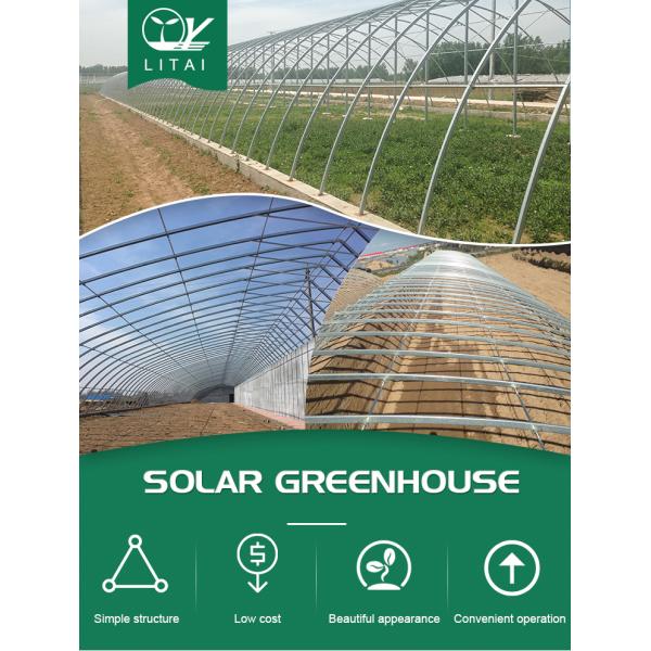 High Strength Solar Agricultural Greenhouses with Easy Assembly and Greenhouse Benches