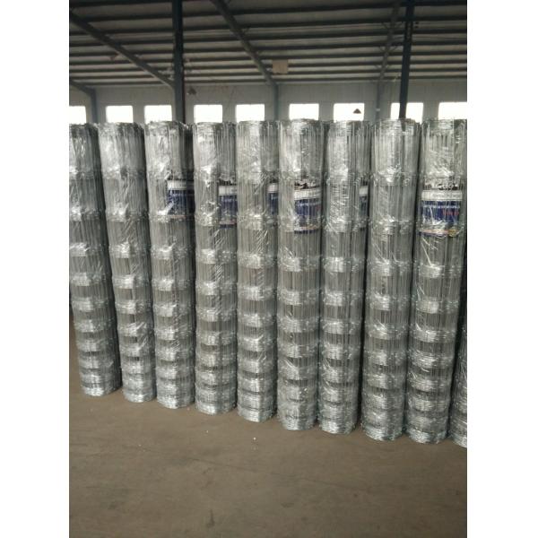 Hot Dipped Galvanized Tightlock Wire Mesh Security Fence Netting For Deer Fence