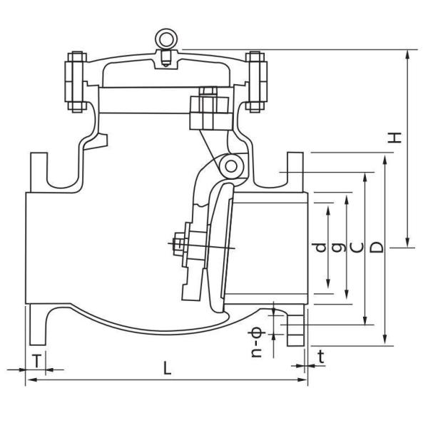 Stainless Steel Swing Check Valve 8481804090 For Industrial Usage