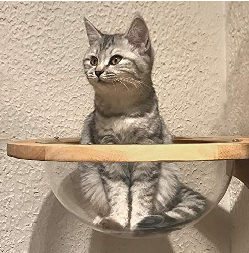 Mounted Wooden Cat Space Clear Capsule Sphere Cat Bed