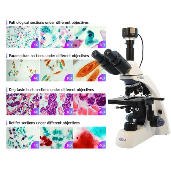 ccd camera for microscope