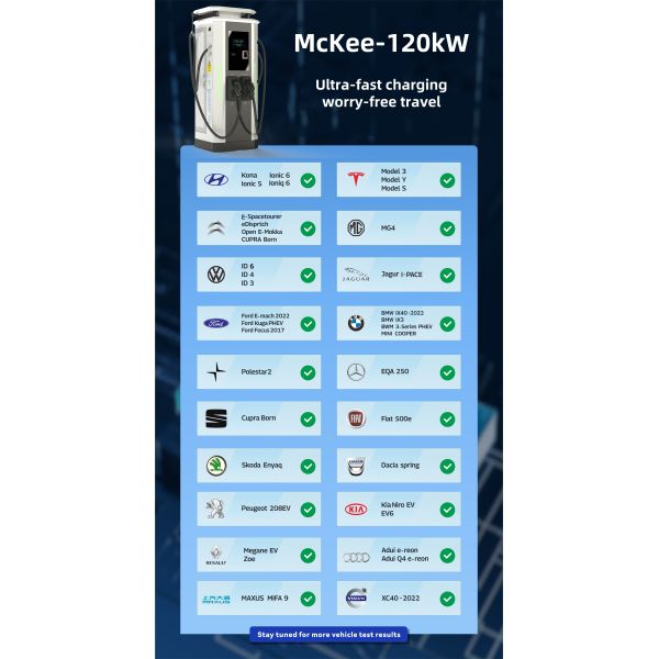 High Quality OEM Waterproof 120kW Dc Fast Charger With Lcd Screen IP54 OCPP1.6J Dc New Fast Charging Pile Station