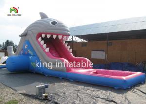 Wholesale 6m High Shark Inflatable Water Slide With Pool / Small Blow Up Slide For Kids from china suppliers