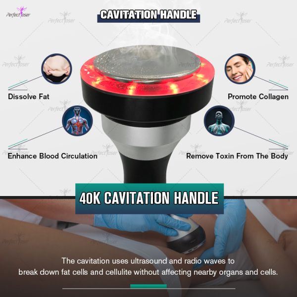 AC 110V/220V 50-60 Hz Fat Reduction Device With 40K Hz Cavitation Frequency