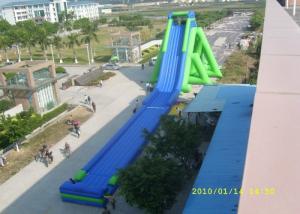 Wholesale Renting Waterproof Children Giant Inflatable Hippo Slide For Backyard from china suppliers
