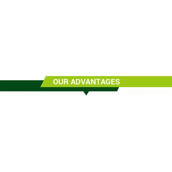 Customized Fiberglass Handle Roofing Spade The Perfect Solution for Shingle Removal