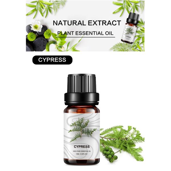 Natural Cypress Essential Oil Aromatherapy Diffuser 100% Pure OEM