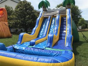 Wholesale Commercial Tropical Inflatable Large Water Slides Double With Pool from china suppliers