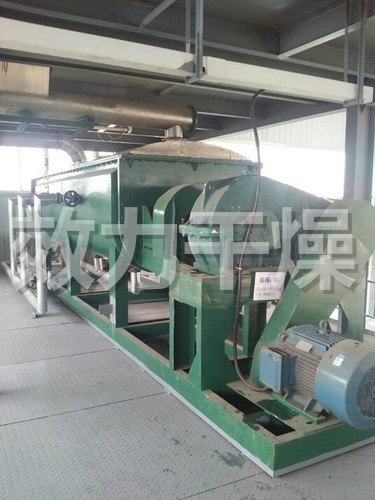 Horizontal Stirring Heat Conduction Type Paddle Dryer / Drying Equipment