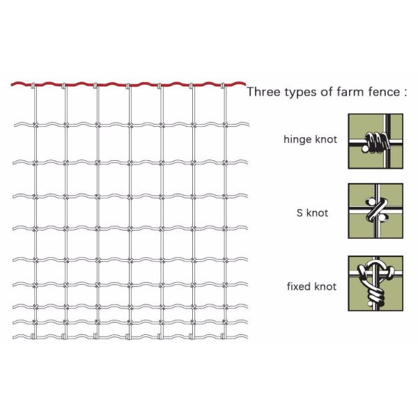 Hot Dipped Galvanized Tightlock Wire Mesh Security Fence Netting For Deer Fence