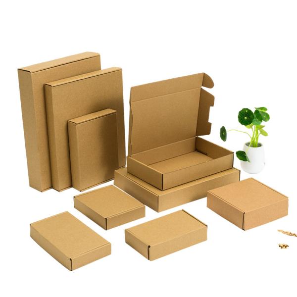Aircraft Printed Cardboard Boxes Express Anti Pressure Personalised Packaging Boxes