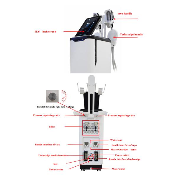 Cryotherapy Tech Body Slimming Machine For Liposuction Fat Cell Reduction