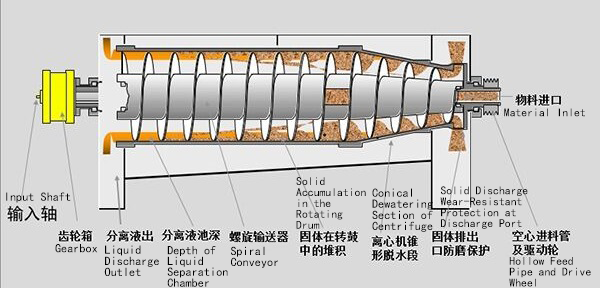 Decanter Centrifuge: A High-Efficiency Global Solution for Solid–Liquid Separation