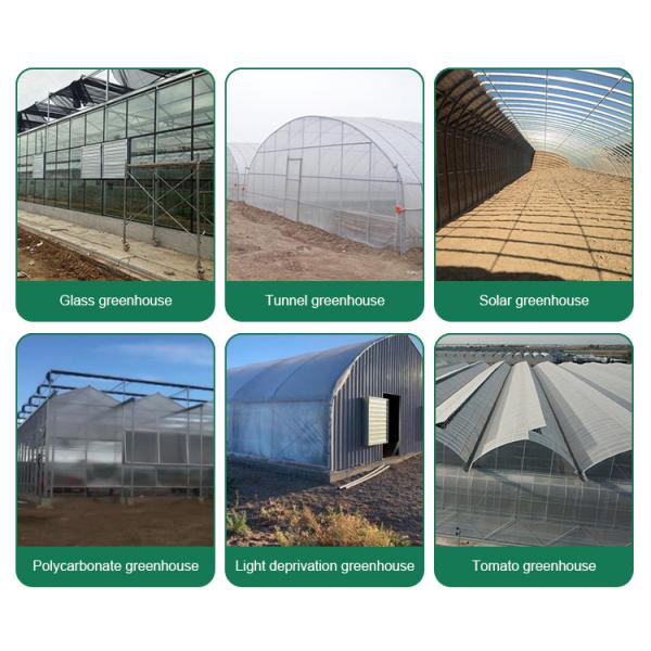 Multi-Span Agricultural Greenhouses for Sustainable Fruits and Vegetables Cultivation