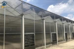 Wholesale Commercial Agriculture Polycarbonate Greenhouses With Precision Climate Control from china suppliers