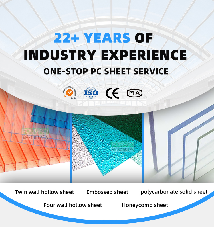 Hot Sale 10mm Thickness High Compact Two Layer Hollow Polycarbonate Sheet Twin Wall Polycarbonate Sheet