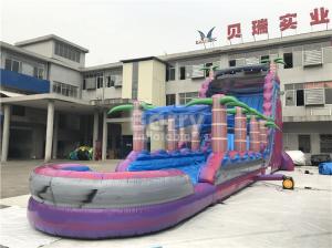 Wholesale Purple Adult Kids Inflatable Water Slides With Pool ,  from china suppliers