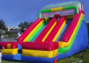 Wholesale Rainbow Commercial Inflatable Slide For Big Event / Screamer Inflatable Bounce Slide from china suppliers