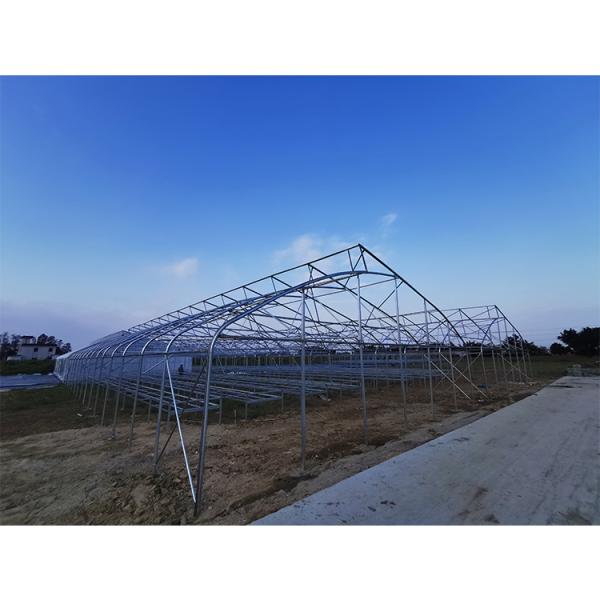 UV Resistant Single Span Greenhouse 200 Micron Plastic Film Long Lasting