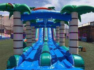 Wholesale Selva Double Lanes PVC Inflatable Water Slide Green / Blue Slide With Swimming Pool from china suppliers