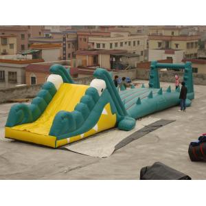 Wholesale Great Fun Inflatable Crocodile Water Slide for Water Paks from china suppliers