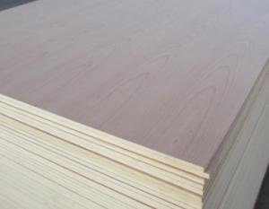 China 1220*2440*12MM,16MM,18MM,20MM E1 E2 MR glue poplar core commercial plywood melamine faced plywood on sale