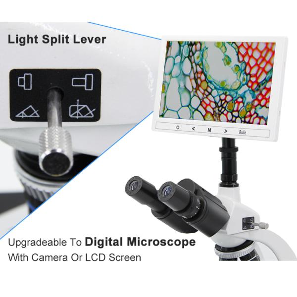 Beginner Level 1000x LED Compound Trinocular Microscope