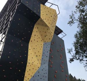 Wholesale Indoor/Outdoor Gym Equipment Sturdy Construction for Customizable Rock Climbing Walls from china suppliers