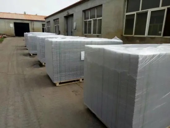 Concrete Slab Steel Reinforcing Mesh/Welded Wire Mesh/Steel Mesh/Wire Mesh