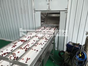 China Residue Cassava Dryer Machine Starch Slag Potato Drying Machine on sale