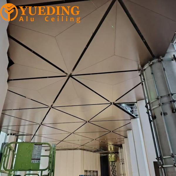 Auditorium Aluminum Ceiling Panels Fireproof Moisture Proof 0.6-2.0mm