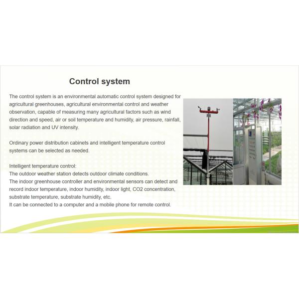 Rectangular Large Commercial Greenhouse Multispan Agricultural Greenhouse