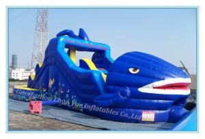 Wholesale Inflatable Jumping Castle& Bouncy Castle for Amusement Park (CY-M2076) from china suppliers