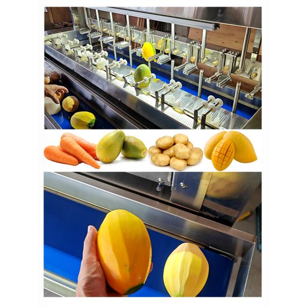 GFM-PM Apple Peeling Machine Perfect Addition To Apple Processing Line