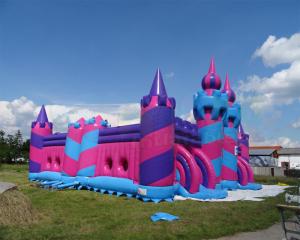 Wholesale EN71 Outdoor Inflatable Bounce Houses Adult Jumping Bouncy Castle from china suppliers