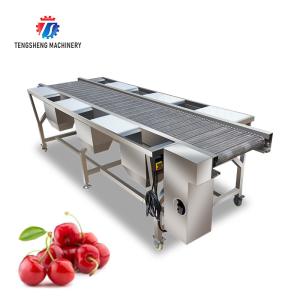Wholesale Customized Vegetable Processing Machine Fruit Sorting Table from china suppliers