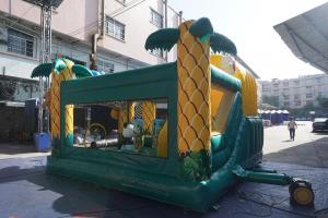 Wholesale Kids Tarpaulin Inflatable Jumping House Bouncy Castle Combo With Slide from china suppliers