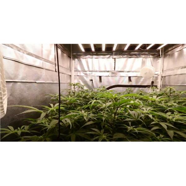 3500K Dimmable LED Grow Lights