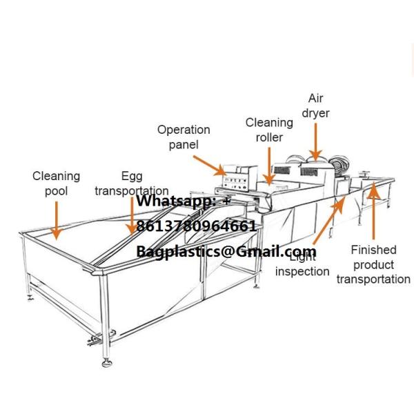 200L To 1000L Fully Automatic Egg Yolk Powder Egg Liquid Production Line Factory Direct Supply Wash Line for Goose Eggs, Duck Eggs, and Chicken Eggs -