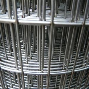 Wholesale Customizable 4ftx50ft Galvanized Welded Wire Mesh Chicken Bird Cage Wire Mesh from china suppliers